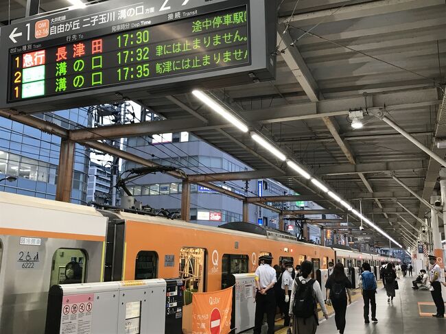 東急大井町線の有料指定席サービス「Q SEAT」に乗車してみました。<br /><br />乗車券<br />渋谷→自由が丘 160円<br />自由が丘→大井町 160円<br />大井町→鷺沼 260円<br />鷺沼→渋谷 260円<br />Qシート指定券 400円