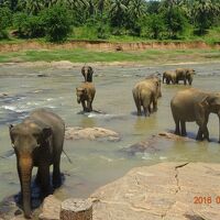 全区間ビジネスクラスで行くスリランカ世界遺産紀行６日間の旅　後編