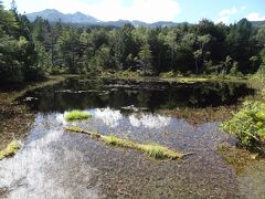 乗鞍高原 山と温泉旅・その1.乗鞍ゆうゆうきっぷ+牛留池&善五郎の滝トレッキング