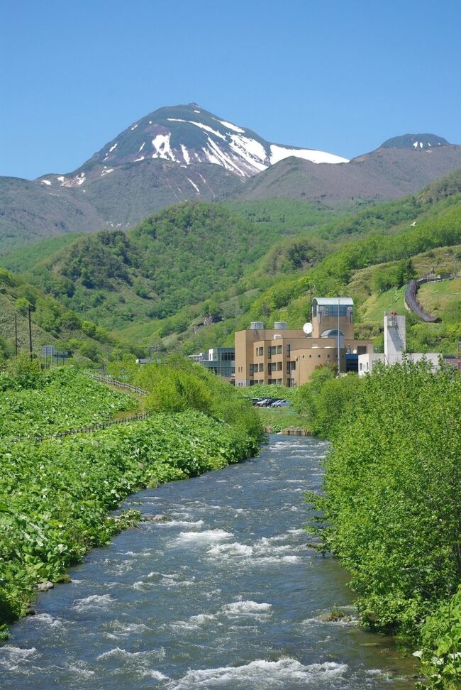 北海道でこれまで訪れたのは函館、札幌&amp;小樽。<br />都市だけの旅でまだ北海道の広さを感じることが出来ていません。<br />そろそろ北海道の大きさを感じたいなぁと思っていたところ、ピーチからバーゲンセールのメールが届きました。<br /><br />ピーチのバーゲンセールで成田ー釧路を購入したものの、3週間前に欠航とのメール連絡！<br />もちろん宿は予約してあるし、コロナでお客さんが少ない今の時期にキャンセルするのは心苦しい。<br />特に電話でしか予約できない民宿は、大手の宿泊予約サイトと違いキャンセルし辛い。<br />急いでスカイスキャナーからにて道東への便を検索。<br />2泊ほど旅行期間を増やすことで、少しだけ値は張るがエアドゥの便を確保。民宿は宿泊日を移動・増加するなどの調整し、無事に旅行決行となりました。<br /><br />エアドゥは羽田からの出発なので、交通費はそれほど大きな増加にはならずに済みました。<br />2泊分の増加のほうが費用としては大きいのですが、楽しみも増えるのでそれは問題無しとしましょう。<br />日程増加で唯一気になるのは家の観葉植物の水遣り。<br />ネットで自動水遣り器を購入して対策しました。<br /><br />旅程<br />1日目　蒲田で前泊<br />2日目　羽田ー釧路フライト　釧路－厚岸バス移動　厚岸泊<br />3日目　厚岸ー根室バス移動　根室泊<br />4日目　納沙布岬　根室泊　<br />5日目　花咲港　春国岱　根室泊<br />6日目　根室-釧路－羅臼バス移動　羅臼泊<br />7日目　羅臼温泉泊<br />8日目　羅臼－釧路バス移動　釧路泊<br />9日目　釧路湿原　釧路泊<br />10日目　春採湖　釧路泊<br />11日目　釧路－阿寒湖温泉バス移動　阿寒湖温泉泊<br />12日目　阿寒湖温泉泊<br />13日目　阿寒湖温泉ー釧路バス移動　釧路泊<br />14日目　釧路ー羽田フライト　帰宅<br /><br />クルマを使わない北海道旅行はラクですが時間がかかります。<br />国内としては異例の2週間旅。<br />忘れない内に防備録を書かないと、と思いつつ約半年が過ぎてしまいました。