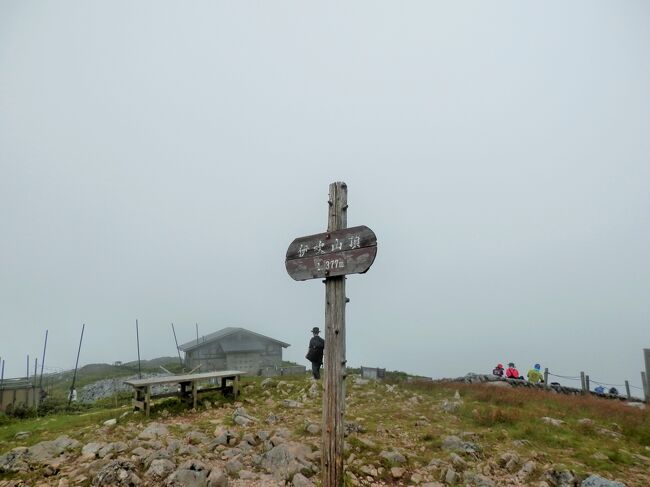 初秋の伊吹山を歩きました<br /><br />下界は晴れて青空だったのが、山頂周辺は雲におおわれ眺望は無し<br />でも山の空気は美味しい～<br /><br />サラシナショウマとイブキトリカブトの競演、見ごたえありました。<br />