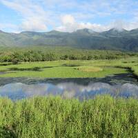 北海道の旅のハイライトは　知床高架木道！道東の大自然は何よりも心を癒してくれました。