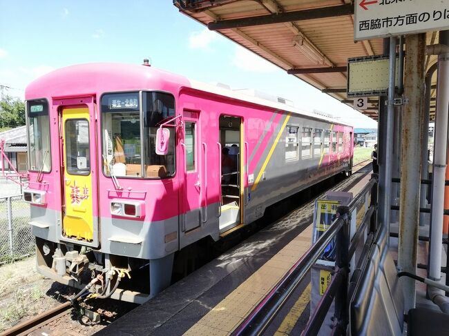 「鉄印」とは地方鉄道と沿線地域の活性化を目的として、北は北海道から南は九州まで全国40の第三セクター鉄道等協議会に加盟する鉄道会社と関係会社が連携して2020年7月から共同で始めた企画です。いわゆる「御朱印」の鉄道版で、該当する路線に乗車すると所定の駅で各社の意匠を凝らした鉄印を記帳してもらえます。<br />私も2020年11月から「鉄印集めの旅」を開始。今回はそのvol.7をご紹介します。<br /><br />★「鉄印集めの旅」シリーズ<br /><br />阿武隈急行・山形鉄道・井原鉄道・鹿島臨海鉄道・伊勢鉄道・信楽高原鐡道・IGRいわて銀河鉄道・三陸鉄道・明知鉄道・のと鉄道<br />https://4travel.jp/travelogue/11699076<br />錦川鉄道・肥薩おれんじ鉄道・道南いさりび鉄道・秋田内陸縦貫鉄道・由利高原鉄道・真岡鐡道・わたらせ渓谷鉄道・いすみ鉄道・IRいしかわ鉄道<br />https://4travel.jp/travelogue/11699086<br />あいの風とやま鉄道・天竜浜名湖鉄道・愛知環状鉄道・長良川鉄道・樽見鉄道・野岩鉄道・会津鉄道<br />https://4travel.jp/travelogue/11699833<br />北越急行・しなの鉄道・平成筑豊鉄道・甘木鉄道・松浦鉄道・南阿蘇鉄道<br />https://4travel.jp/travelogue/11701670<br />若桜鉄道・智頭急行（ついでに津山重伝建と津山ホルモンうどん）<br />https://4travel.jp/travelogue/11706888<br />えちごトキめき鉄道・京都丹後鉄道。（ついでに富山ブラックと重伝建今庄宿と天橋立）<br />https://4travel.jp/travelogue/11709811<br />北条鉄道。（ついでに鶉野飛行場跡と日本へそ公園）<br />https://4travel.jp/travelogue/11710711<br />