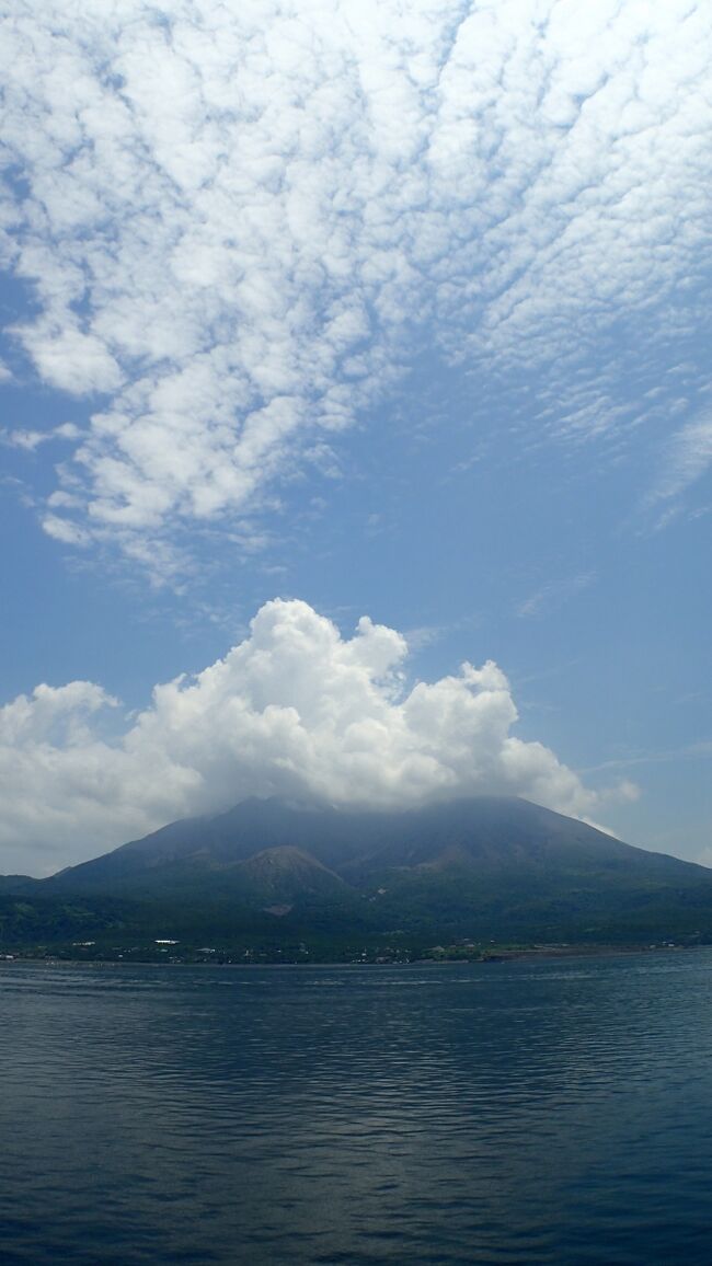学生時代バスケットの試合で訪れた鹿児島市 天文館にあるホテルに泊まり温泉がたくさんあるのか、ビジネスホテルでも大浴場がある温泉でした。男湯に行き脱衣所まで行き入ろうとしたら中に女の人の声がして焦り、脱衣所でストップ部屋へ戻る。しかし同じ部員の人は若い女性が男湯にいたよと聞き、入っておけばよかったと後悔した。バスケット会場はフェリーで渡り桜島へ えー噴火が頻繁に発生する島に体育館なんてあるの?と驚いた。南国もあり夜遅い時間に大人だけでなく子供も多く出歩いている印象を受けた記憶もある。さてと、鹿児島県でも近年奄美には行っているが、約30年振りに鹿児島市や桜島へ、30年も経つとほとんど覚えていないが、昔尋ねた場所を思い出せるか旅に出た。