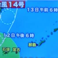 JALどこかにマイル　ルーレットの結果は那覇　台風１４号来てるけど！