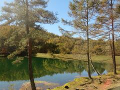 横浜から長野・山梨へ、日帰り紅葉狩り　　*DQWお土産4つ＊