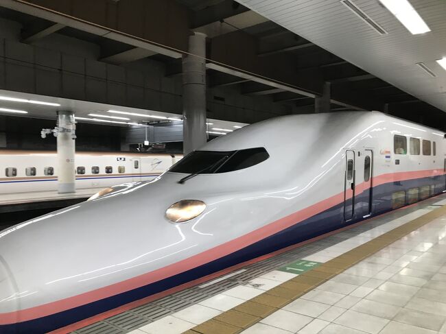 神の声が聞こえたので新潟へ旅立ちます。<br /><br />いや、マジです。金曜日の夜、家で寝ている最中に夢の中でお叱りを受けました。<br /><br />新潟にある父の実家には、祖母と叔母が住んでいます。昨年の6月に死んだ叔父の遺骨を持って行って以来、ぜんぜん行っていなかったです。<br />祖母は100才近くなっているので、もう何度も会えるわけじゃないのは分かっています。私は8月上旬に2回目のワクチン摂取を受けて抗体がビンビンに効いてる頃です。<br />「今、このタイミングを逃したらダメだ。」<br />そんな風に言われました。<br /><br />その夢で目が覚めて目の前にスマホ。まるで「今、新幹線を予約しなさい。」そう言われたようだったので、えきねっとで新潟行きの新幹線を予約しました。<br /><br />このページでは、定期運用が残り1ヶ月を切ったE4系Maxに乗って帰ります。<br /><br />9月11日<br />乗車券<br />上野→大宮 480円<br />上越新幹線 とき315号 8,600円(トクだ値15%)<br />大宮(10時41分)→新潟(12時24分)<br /><br />9月12日<br />上越新幹線 Maxとき326号 10,020円(自由席)<br />新潟(14時20分)→上野(16時22分)