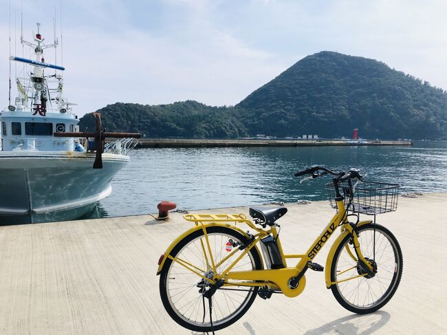 ずっと待っていました。<br />米子→羽田の最終便が復活することを。<br /><br />長いことお休みのまま、もしかしてこのまま隠岐のドラクエウォークおみやげだけ残ってしまうのでは?<br />さらに、冬の日本海を海路渡るのはリスクが高いと桃鉄でさんざん思い込まされているので、早めに行かねばと思っていたのです。<br /><br />そこで目を付けたのがサンライズ出雲。<br />乗ったことがなく、いつか乗りたいと思いつつもなかなか予約が取れないことで有名なはずでした。<br />Covid-19のせいで空いているとの情報を聞きつけ、JR西の5489サービスを見てみると、ほんとに空いてる・・・!<br />よい機会なので乗車してまいりました。<br /><br />行きをサンライズにすると、隠岐行きのフェリーには全然間に合いませんので、帰りのみです。<br />その行き。空路始発便を使うと(これも現状欠航ですが)米子空港着が8:05で、七類(しちるい)港行きのバスが出るのが8:00頃と、まったくもって接続など考えられていないスケジュールになっているんです。。<br /><br />前泊せずに行くには夜行バスしかありません。<br />0泊3日の実質中1日で隠岐へ行ってくるという構成で、隠岐では迷った挙句にレンタサイクル28km漕いできちゃいました。<br /><br />※ドラクエウォークのおみやげとは<br />位置ゲームであるドラクエウォークのコンテンツの1つとして、全国47都道府県に4つずつ、つまり全部で188個のおみやげが置かれています。<br />本当に物がもらえるわけではなく、あくまでゲーム内でのお話なので、完全に自己満足の世界です。<br />国内もわりと旅行していたので、188個のうち100個くらいは訪問済みだったりもするのですが、しばらく海外に行けないので、こういう楽しみもありかなと自力で集めることにした次第です。<br /><br />【旅程】<br />新宿19:40→米子6:45+1(WILLER)<br />米子⑦7:32→七類(しちるい)港8:24<br />七類9:00→西郷11:24<br />-----------------------------------<br />自転車タイムライン<br />西郷港11:38→水若酢(みずわかす)神社12:28/12:48→西郷港13:31<br />-----------------------------------<br />西郷15:10→七類17:35<br />七類港18:00→米子駅18:52<br />米子19:56サンライズ出雲→東京7:08+1<br /><br />【費用】総額:34,161円<br />◆交通費<br /> 夜行バス(新宿→米子)WILLER EXPRESS 4列シート 5,500円<br /> サンライズ出雲(米子→東京)ノビノビ座席 15,710円<br /> フェリー(七類⇔西郷)6,600円<br /> 現地交通費(バス、レンタサイクル) 2,980円<br />◆食費3,371円