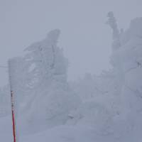 年末年始守ろう心身の健康！厳寒の宮城山形をまわってみた(3)日本海側大寒波で蔵王の樹氷と温泉楽しむ