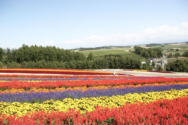 子連れ旅行 in 北海道 Day 4 | 美瑛　