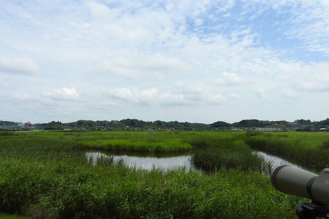 　鉾田市の安塚公園でバードウォッチングを楽しみました。<br /><br />表紙写真は、鉾田市の安塚公園の風景です。<br /><br /><br />