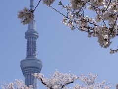 2021年浅草・隅田川の桜