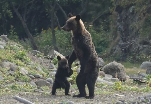 大自然道東旅[2021年9月] ダイジェスト編』知床・ウトロ(北海道