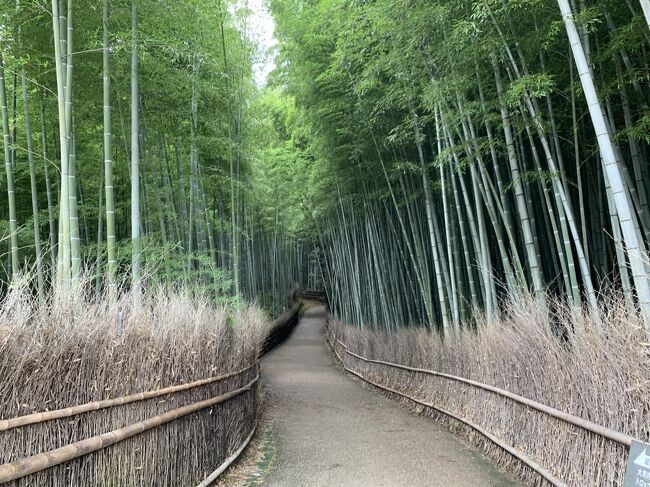 以前から行ってみたかったところ、竹林の小径へ行きました。<br />とても風情のある竹林、どこをみても画になるようでした。<br />大河内山荘も初めて行きました。<br />広い敷地で、空気が澄んでました。<br />すごく残念なことに、チケットを買ったとき、お抹茶の券ももらったのに、夫は気にもとめず、帰宅してからお抹茶の券を発見しました。(-_-;)<br />私もあらかじめ、勉強していかなかったからいけないのですが、、、。<br />次回は必ず、お抹茶にリベンジします♪<br />