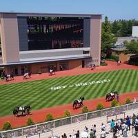 目指せビギナーズラック、新潟競馬と街歩き