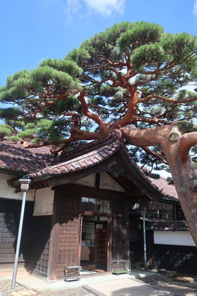 2021年9月8日~12日の4泊5日で山形県の酒田市と山形市を旅行しました。<br />日本海に面した港町酒田と城下町山形に2泊ずつ、じっくりと観光することができたと思います。<br />旅行記その3は酒田の町観光の残りから、バスで山形市へ移動になります。日本最大の地主と称された本間氏の豪邸などを見学したあと、酒田海鮮市場でお昼ご飯を食べます。山形市に到着後は駅前の高層ビル展望室から山形の町を眺めてホテルにチェックインしました。<br /><br />