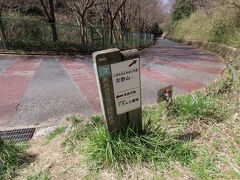 大阪 交野山 こげらの小路(Kogera Path, Kono-zan Mountain, Osaka, JP)