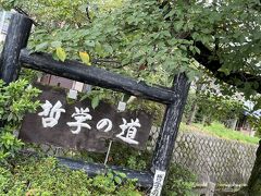 京都東山ゆったり旅行！…銀閣寺 法然院を訪れて…ひとり旅編！