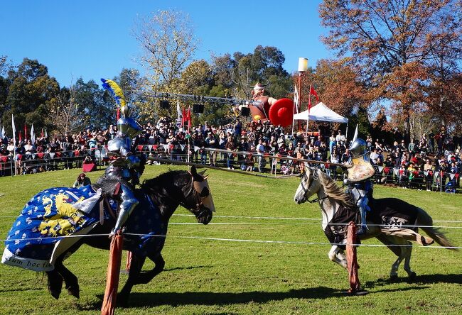 シドニー・ブラックタウンの中世の騎士祭り(メディーバル・フェスティバル)です。中世からルネサンス(11世紀-16世紀)頃のヨーロッパ文化を現在に再現しています。当時ヨーロッパで流行した騎士道である馬上槍(ジョスト)などが競われます。ヨーロッパ各地では中世の騎士フェスティバルは頻繁に開催されるメジャーなイベントです。オーストラリアにはヨーロッパ中世の歴史はありませんが、ヨーロッパからの移民が多いので、騎士道文化は地球の裏でも引き継がれています。日本で言うと侍祭り(関ケ原合戦祭り・謙信公祭など)という感じでしょうか。<br /><br />今振り返れば、2021年5月がノーマスクの大規模イベントができる最後の時期でした。当時シドニーは何ヶ月間もゼロコロナで、このまま大きな制限なくコロナ禍を乗り越えられそうな楽観論がありました。しかし翌6月にデルタ株がシドニーに持ち込まれ、2ヶ月間のロックダウンに失敗して、シドニーのNSW州はゼロコロナを断念しました。マスクなしイベントが再開するのは遠い先になりそうです。