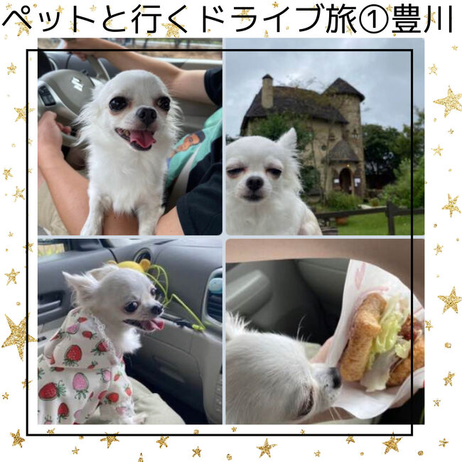 ペット旅行で人気のおすすめ旅行記 ブログ 国内 4ページ フォートラベル