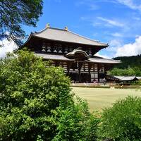 奈良県：多聞城、高取城（その1）