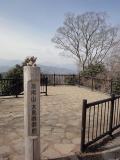 目指せ、国内3000m級22峰踏破！ 2.高尾山～木下沢梅林～景信山～美女谷温泉 <その３＞高尾山599ｍに登頂完了、富士山が見えてました！