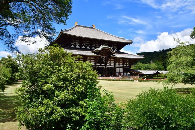 　多聞城、高取城を訪れた。<br /><br />　他に、興福寺、東大寺、開化天皇陵を再訪した。<br /><br />　薬師寺も再訪したかったが、天候が優れず、カメラのバッテリーも上がってしまったので、行かなかった。<br /><br />　奈良市は、京都市と比べると地味だというが、少なくとも東大寺周辺は公園化されている上、高層ビルが無いので、街並みが綺麗だなと改めて思った。<br /><br />　帰りの日に、西日本に台風が通過した。<br />　新幹線の運行にも影響が出たようだが、ほぼトラブル無く帰れた。