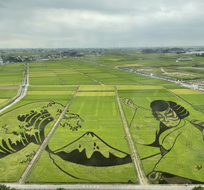 田んぼアートが見たくて一人で行田へ<br />同じ埼玉とはいえ、住んでる所沢からは都心に行くより遠かったです。<br /><br />行田の街は田んぼの緑が多くて、どこか懐かしい感じがしました。
