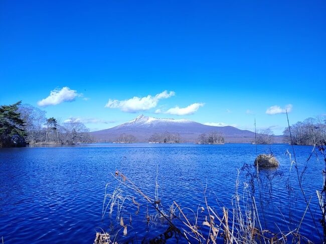 この旅行を申し込み後に北海道の感染者が増えてしまい、、、正直ギリギリまでどうしようかと悩んだ旅行です。ただ旅行会社さんに問い合わせをしてももうしっかりキャンセル料は発生する期間となっており、函館の感染者数は2人とか、という感じだったので思いきって行ってきました。今回は家族同様の姉夫婦と一緒。家族と言っても部屋でも常にマスクは着用しよう、4人なので移動はタクシーとレンタカーを使いなるべく人との接触は避けるようにしよう、と話し合い出かけてきました。<br /><br />12月5日　ADO57 羽田発6時55分ー函館着8時15分<br />12月6日　ANA558　函館発19時20分－羽田着20時50分<br /><br />センチュリーマリーナ函館　朝食付き<br /><br />JTBにて飛行機とホテル予約4人で175600円　GOTO適用で119600円