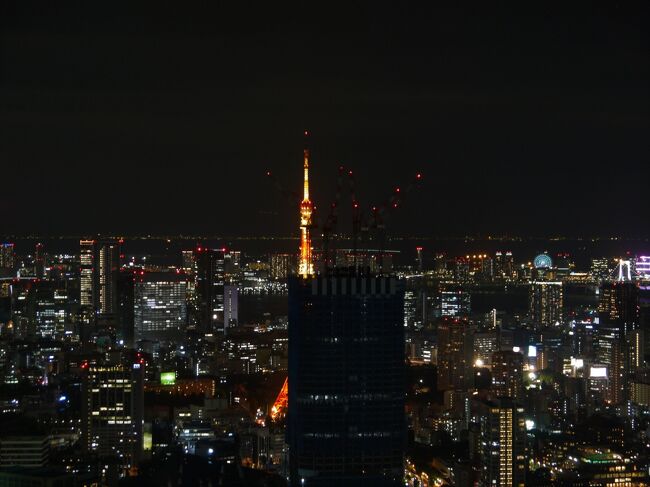 東京エディション虎ノ門の全館貸切による旅程の変更の際に日程を譲れなかったのが、ガストロノミージョエル・ロブションでのバースデイディナーでした。きっかり2ヶ月前、０時を跨いだ瞬間に予約をしてようやく立てる（座れる？）憧れのレストラン。<br /><br />そこで、その日に東京に滞在することを前提にまだまだ行ったことないホテルを色々考えましたが、立地と完全予約保証が効くという理由でザ・リッツ・カールトンに去年に続いて2度目のお邪魔をさせて頂くこととしました。<br />当初はエディションの担当の方がリッツの振替予約をして下さいました。エディションの予約はロフトテラスとやや高めのお部屋だったので、リッツはクラブフロアかなと一瞬期待しましたが、予約した料金が振替の基準となるのか同じくらいのお値段だった最もベイシックなお部屋となりました。しかし出発前にリッツのサイトを見ると、同じ部屋でシャンパンボトル付きのプランがより安値で出ていたので担当の方に断って自身で予約をしました。なお、それでも完全予約保証は適応されるようで200ドルの割引は効きました。（9万ポイントの付与は今の所まだです・・いつになるかは分からないそうです・・・）<br />