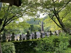 京都さんぽ　　嵯峨野めぐり　　悲哀を感じる祇王寺～化野念仏寺