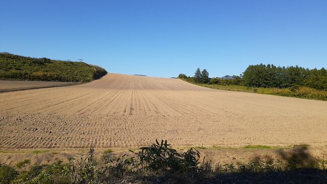 　ご覧戴きましてありがとうございます。<br />　2021年９月20日は札幌を起点に日帰り？でニセコ・倶知安・余市等を巡ってきました。<br />　この日は倶知安・ニセコ等を経由して札幌と函館を結ぶ「ニセコ号」という臨時の特急列車が運転していた為、この列車等を利用して行ってきました。<br />　３部構成での公開を予定しており、前編では①札幌からニセコまで特急ニセコ号で移動した時の様子、②曽我森林公園「東啓園」を散策した時の様子等を紹介させて頂きました。<br />　今回の中編では①倶知安駅付近の飲食店でランチを頂いた時の様子、②百年の森を散策した時の様子等をご覧戴きます。