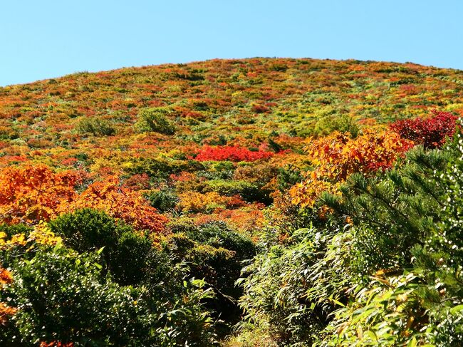 2021紅葉第一弾　栗駒山　～全山じゃなくてもやっぱりクリコマ～