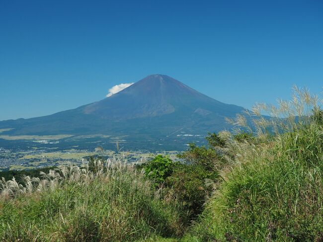　連休の晴れ。そろそろどこかに登っておきたい。幾つか候補がありましたが、相方からは（最近全く歩いてないので）一番楽なコースでというリクエスト。そこで選んだのが矢倉岳。比較的短時間で登れ、山頂からは富士山の絶景が拝めます。<br /><br />　さて矢倉岳といっても、ガイドブックにも掲載されていないマイナーな低山で知らない方が多いのでは。神奈川県南足柄市にある標高870ｍの山で、金時山から足柄峠を挟んで北東に位置します。<br /><br />今回のコース　　地蔵堂バス停 ～ 山伏平 ～ 矢倉岳山頂 ～ 足柄万葉公園 ～ 足柄峠（聖天堂） ～ 足柄古道 ～ 地蔵堂バス停<br /><br />　矢倉沢バス停から出発するのがメジャーですが、今回はより短時間で登れる地蔵堂バス停から。思いのほか急登が続きますが、2時間弱で山頂へ。そこからは初秋の見事な景色を拝む事ができました。