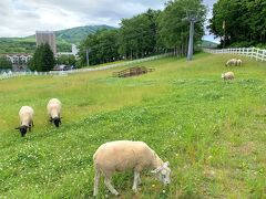 夏休み2021！初めての北海道は留寿都村へ。大自然のウエスティンルスツリゾートで過ごす2泊3日の旅②