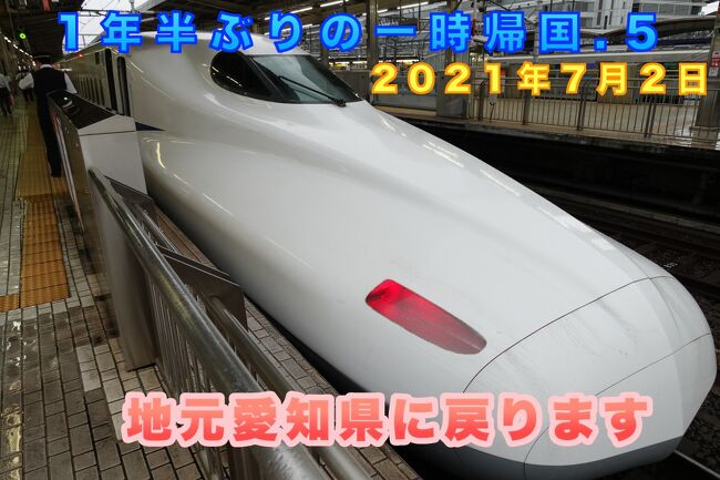 1年半ぶりの一時帰国.５　地元愛知県に戻ります