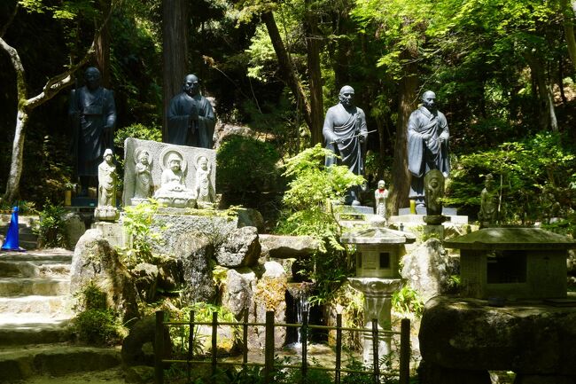 三滝寺は、広島市街の北西端、三滝山のふもと。遠いような近いような場所なんですが、それなりに聞く名前だし、気になっていたこともあって今回は自転車で訪ねてみることにしました。<br />寺は大同4年（809年）空海による創建とされ、三滝観音と呼ばれて親しまれる真言宗の寺。そこまで険しい場所ではないのですが、谷沿いには想親観音堂、鐘楼、稲荷社、三鬼権現堂、鎮守堂といった建物が連なり、やっぱりちょっとした山岳仏教の雰囲気が漂います。そして、それらを紅葉が覆い尽くしてなんとも美しい趣き。紅葉の名所というのは、なるほどその通りですね。<br /><br />そして、登ろうかどうしようか迷っていた三滝寺の後背地、三滝山。標高は、356m。戦国武将で優れた茶人でもあった広島藩家老上田宗箇が縮景園の借景として山頂に赤松を植えたという宗箇松。そこから宗箇山とも呼ばれます。<br />なんとなくの流れで、三滝寺の境内からそのまま山頂に向かいましたが、なかなかの登山。標高からすると甘く見てしまいますが、それなりにしっかり覚悟して登る山かなと思います。山頂からは広島市内や広島湾が見渡せて、期待以上の絶景。広島市の近郊にもこんな場所がありましたかという感じ。宮島の弥山にも匹敵する眺めは、なるほど一見の価値は十分あるなと思いました。