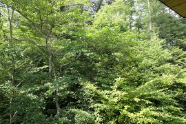 夏の優雅な避暑♪　Vol.7 ☆レジーナリゾート旧軽井沢：スイートルームテラスから森の風景♪