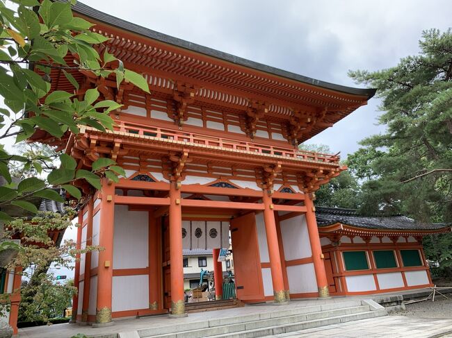 昨年９月の記録です。<br /><br />今宮神社に行きました。<br />楽しみにしていた厄除けのみたらし団子はお店がお休みでがっくり。(-_-;)<br />ちゃんと調べていかないといけません、、。いつもゆるゆると出かけてしまう。<br /><br />今宮神社は７９４年にはお社があったそうです。その後も度々の疫病がはやり、京都の民衆主導で行われた<br />「紫野御霊会」が今宮祭りの起源。<br />１００１年にも疫病が流行り、調停が疫神を船岡山からこの地に移し、神殿、玉垣、神輿を造らせて今宮屋社と名付けたと説明にありました。朝廷や武家、民衆からの信仰は篤かったようです。<br />徳川綱吉生母の桂昌院は今宮神社に寄進などをしたり、お祭りを復活させたり、終生、神仏を敬っていたそうです。<br />