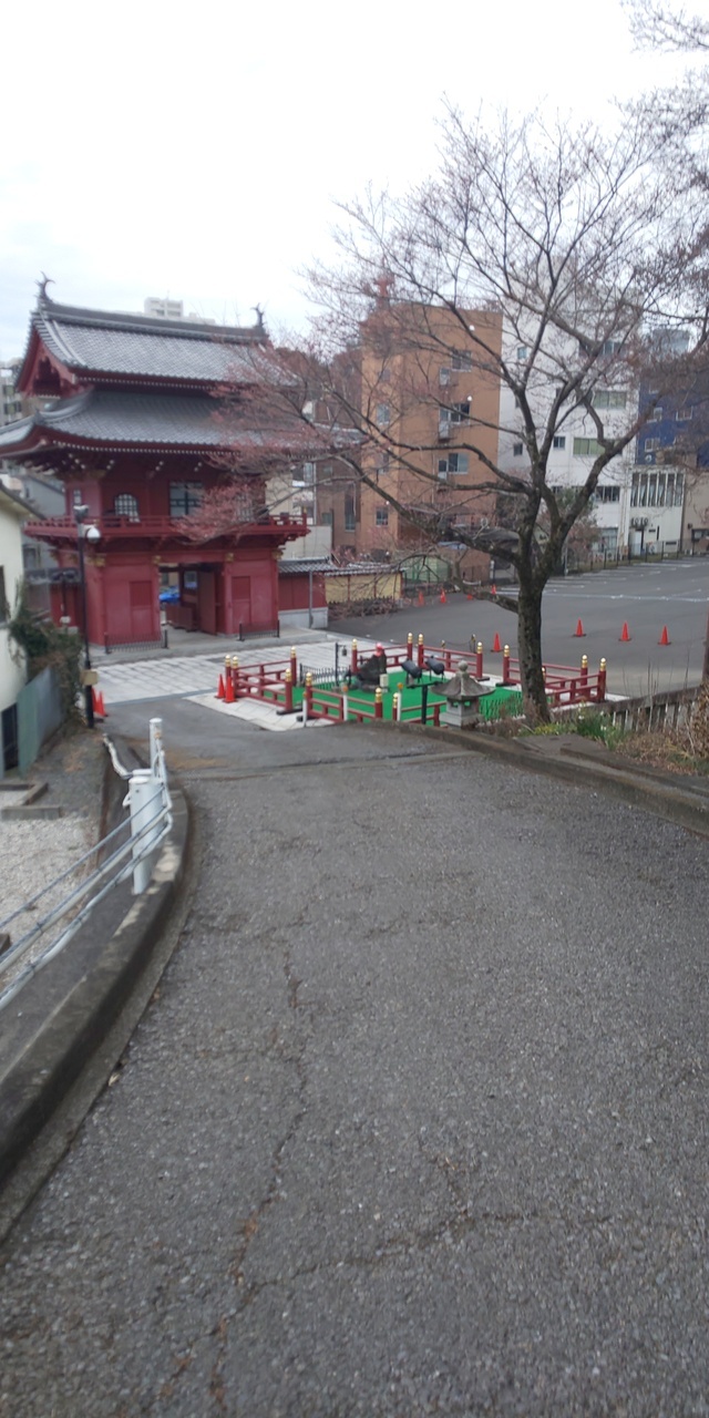 栃木県庁なども見てきました。<br /><br />また赤門が立派な慈光寺もなかなか良かったです。