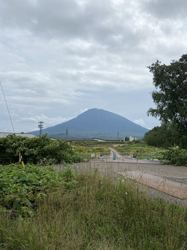 旅行日:21/08/26、27<br />行き先:岩内～倶知安～小樽～新千歳空港～成田空港～家