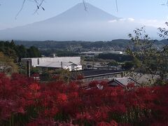 母を連れて市内巡り・柚野の興徳寺