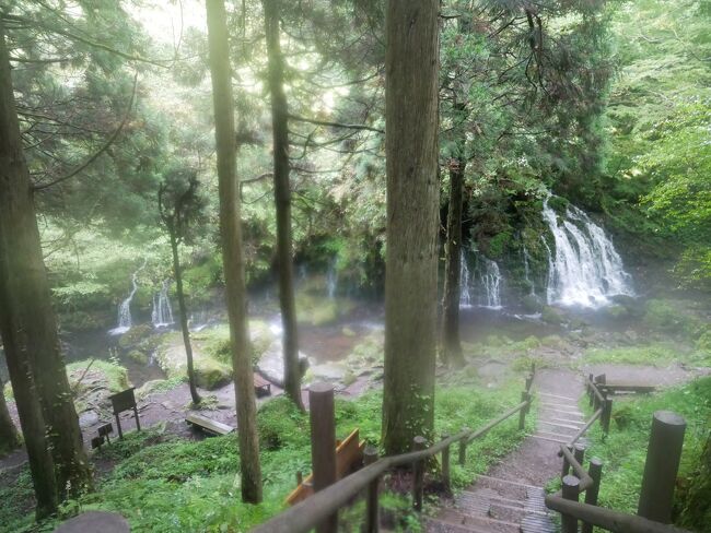 数年前に象潟に行きました。もと来た場所でなくその時は行けなかった伏流水にイベント終了前に行ってきました。行き当たりばったりらしく天気も晴雨で大変でした。