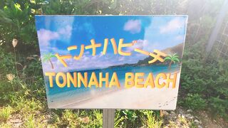 沖縄7泊8日シュノーケル三昧の旅②～トンナハビーチ・宮城海岸・ベッセルでHAPPY