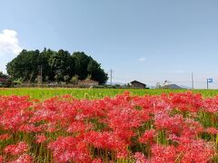 令和3年9月23日　桜井から橿原へ気ままなあるき旅