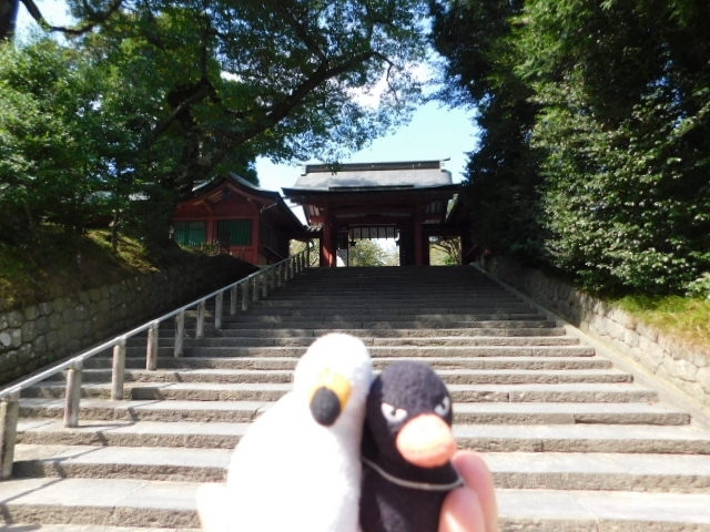 宮城県内でいちばん初詣が多いのが「塩竃神社」。この塩竃神社のそばにもう一つ「志波彦神社」があり２つの神社が同じ敷地内にあります。<br /><br />「塩竃神社」は、東北を平定した際に、塩土老翁神がこの地にとどまり、人々に塩の作り方を教えたとの言い伝えがあります。<br /><br />もう一つの塩竃神社にある「志波彦神社」は、冠川という今は七北田川になっていますが、ここに降臨された志波彦神を祀る神社です。もともとは、仙台市宮城野区岩切付近の七北田川左岸にあったとのことです。<br /><br />コロナ禍で遠くに出かけることができませんが、あひるのつばさの生活圏の歴史的な場所を訪ねる小さな旅企画で、今回は「塩竃神社」「志波彦神社」を訪れ、塩竃神社から眺めることできる塩竃港と塩竃の街の様子。コロナ禍で残念ながら撫でることができなかった撫で牛さん。志波彦神社の近くにいたドバトさん。彫金の彫刻を紹介いたします。