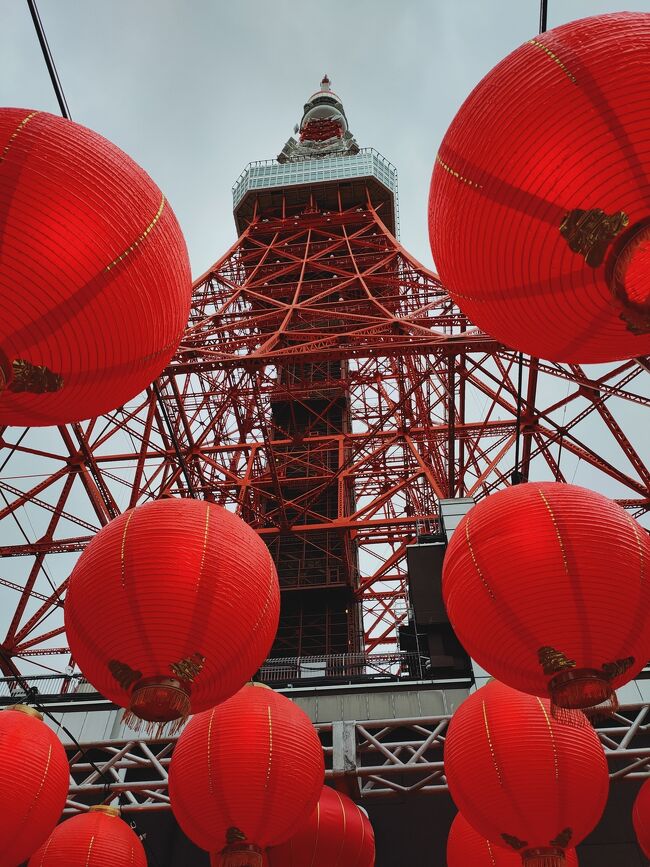 やっと6月最後の旅行記です。<br />スーパーホテルに泊まってみたい<br />と思っていたところ<br />渋谷に出掛けることに。<br />東京タワーでもイベントがあり<br />中間地点でラウンジ飲み放題の<br />Lohas赤坂に泊まってきました。<br />まずは台湾祭から。