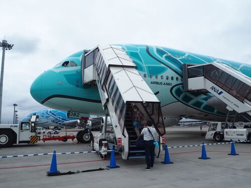 ③ANA FLYING HONU フライトタグ　フライングホヌ FLYING HONU フライトタグ | ANA DUTY FREE SHOP