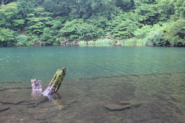 新潟から夫の誕生日で、蔵王温泉に行きました。<br />旅行記作りながら、蔵王温泉に泊まるのは初めてだったと思っていたら、２０１５年にも泊まっていました。<br />その前にも蔵王温泉には、来たことはあったけど、ほとんど通過でした。<br /><br />今回は蔵王中央ロープウエーに乗り、ドッコ沼を訪れました。<br />その２年前は、別のロープウエーで地蔵山頂駅に行ってました。<br />２０１７年のロープウエーが初めてだと思っていたけど、２年前にも乗っていたなんて。<br /><br />かなり以前に宮本輝さんの小説「錦繍」を読んで、小説の冒頭にドッコ沼のロープウエーが出てきて、その当時は「これどこなんだろう？」と思っていて、当時はインターネットもなく、特に調べずそのままになっていたのですが、蔵王だったんだと感動しました。小説にちゃんと蔵王と書いてあったのですが、当時大阪に住んでいて、蔵王なんて遠い世界で。<br /><br />表紙写真はその感動したドッコ沼です。