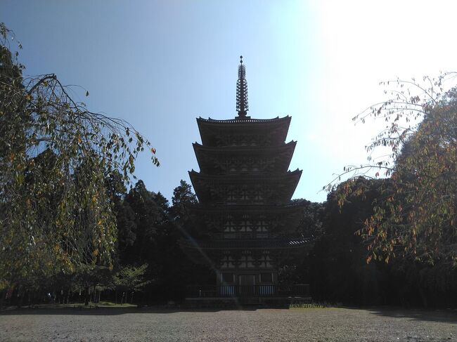 醍醐寺あたりで業務があったので、せっかくなので、朝イチの人気がまだまだの醍醐寺に入りました。五重塔が美しい。三宝院の庭も美しい。<br />そのまま、長尾天満宮に向かいます。天満宮ということは、そうです菅原道真公が祀られています。108段の階段を登って参拝してきました。<br />2件の業務を終えてから、せっかくなので、マニアックなルートから牛尾観音を参拝してきました。<br />その帰り、こんなところにというところに十割蕎麦を食べさせてくれるお店がありました。食べ終わってから、お庭を散歩。<br />休日業務のついでと言いつつ、いろいろ楽しめました。